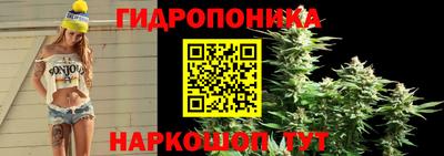 спиды Будённовск
