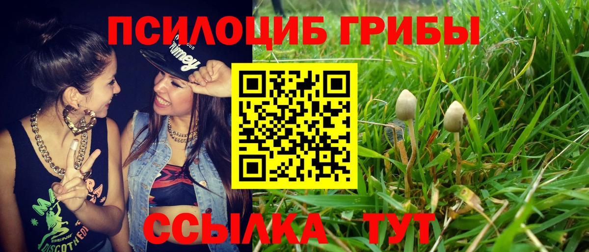 Псилоцибиновые грибы Magic Shrooms Омск