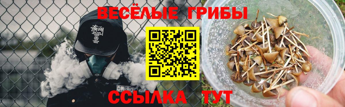 как найти закладки  Вход с VPN  Омск  Галлюциногенные грибы Magic Shrooms 